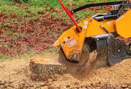 Trusted Twentynine Palms, CA Tree Care Experts
